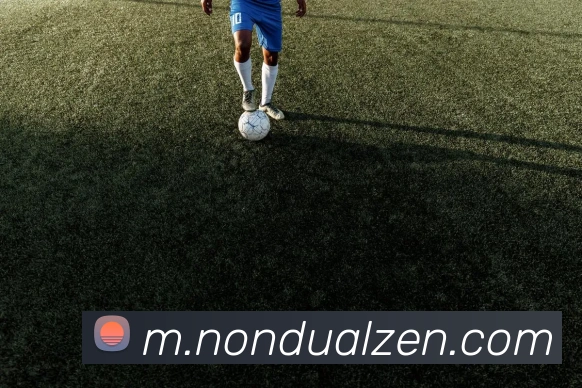App Interface Preview